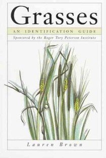 Grasses