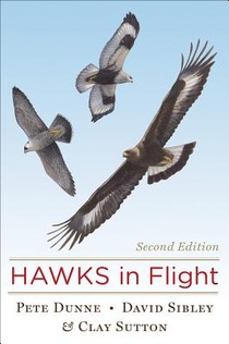 Hawks in Flight