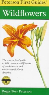 First Guide to Wildflowers