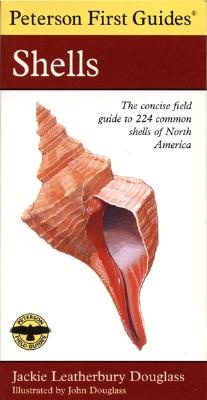 First Guide to Shells