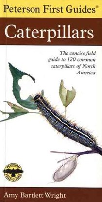 First Guide to Caterpillars