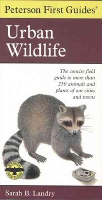 Peterson First Guide to Urban Wildlife