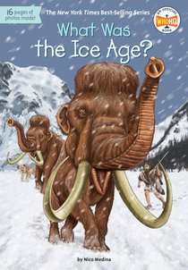 What Was the Ice Age? voorzijde