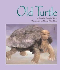 OLD TURTLE