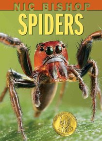 Nic Bishop: Spiders