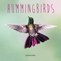 Bader, B: Hummingbirds