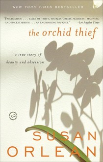 ORCHID THIEF