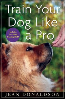 TRAIN YOUR DOG LIKE A PRO