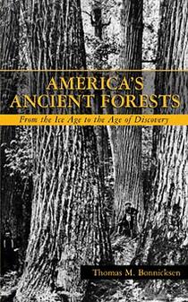 America's Ancient Forests