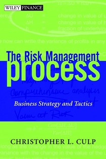 The Risk Management Process