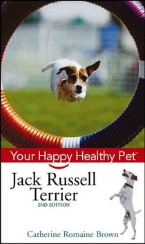 Jack Russell Terrier