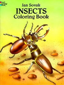 Insects Coloring Book