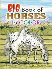 Big Book of Horses to Color