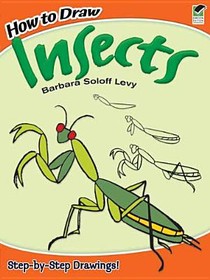 How to Draw Insects