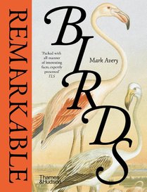 Remarkable Birds
