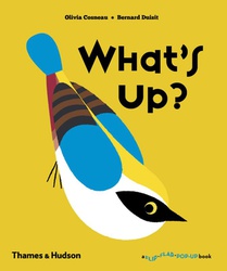 What's Up?