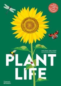 Plant Life voorzijde