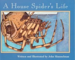 A House Spider's Life (Nature Upclose)