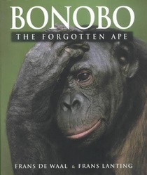 Bonobo voorzijde