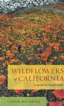 Wildflowers of California