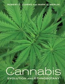 Cannabis voorzijde