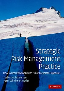 Strategic Risk Management Practice