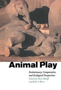 Animal Play voorzijde