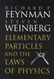 Elementary Particles and the Laws of Physics