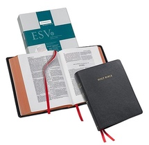 ESV Aquila Wide Margin Reference Bible, Black Goatskin Leather Edge-lined, Red-letter Text, ES746:XRME