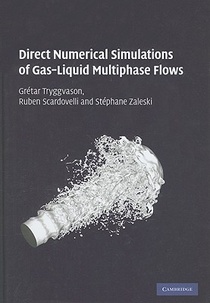Direct Numerical Simulations of Gas–Liquid Multiphase Flows