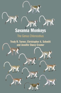 Savanna Monkeys