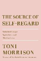 The Source of Self-Regard voorzijde