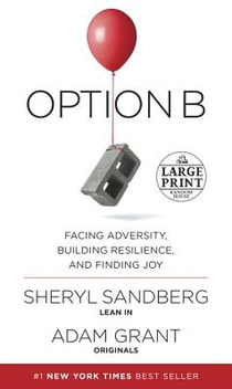Option B