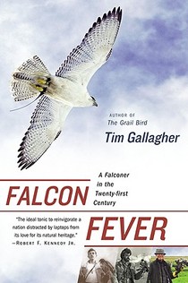 Gallagher, T: Falcon Fever