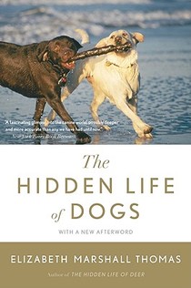 Hidden Life of Dogs, The voorzijde