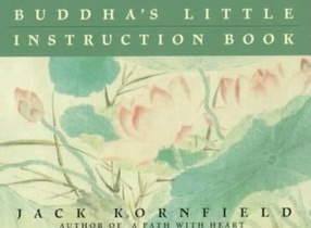 BUDDHAS LITTLE INSTRUCTION BK voorzijde