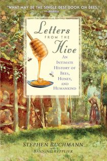 Letters from the Hive