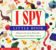 I Spy Little Book