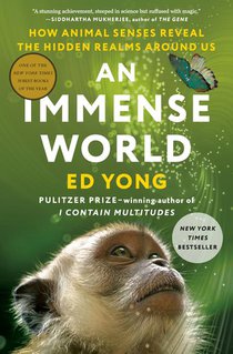 Yong, E: Immense World voorzijde