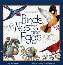 BIRDS NESTS & EGGS BOUND FOR S