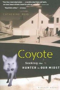 Coyote voorzijde