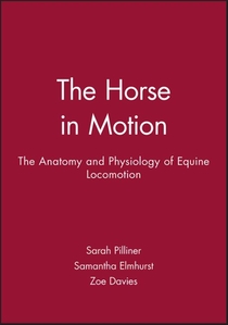 The Horse in Motion