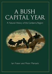 A Bush Capital Year