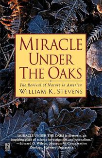 Miracle Under the Oaks