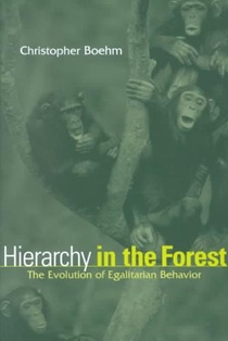 Hierarchy in the Forest