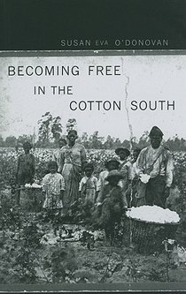 Becoming Free in the Cotton South