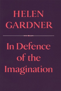 In Defence of the Imagination