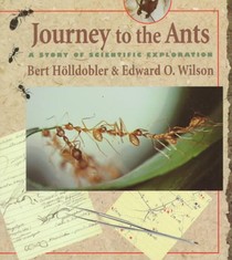 Journey to the Ants voorzijde