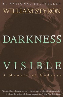 DARKNESS VISIBLE