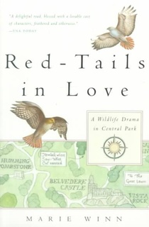 Red-Tails in Love